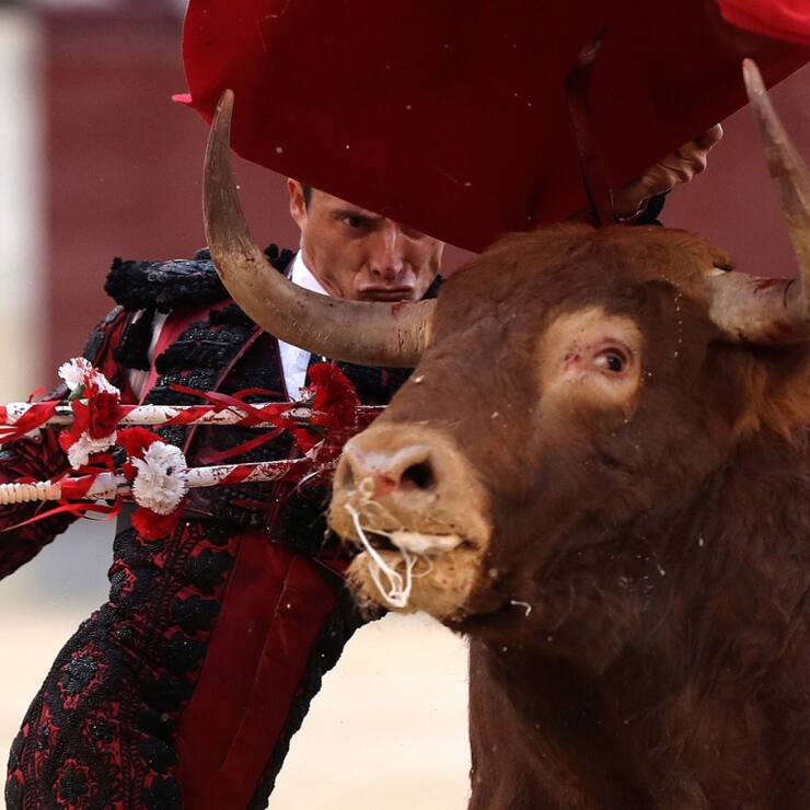 Le Mexique renonce à la tauromachie. Photo: Le torero espagnol Diego Urdiales combat un taureau lors d'une corrida de charité organisée dans des arènes à Madrid en 2019.