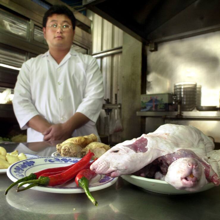 Le rat peut se cuisiner, comme ici à Taïwan, mais en l'occurrence il constituait plutôt un signe d'insalubrité (Photo prétexte)..