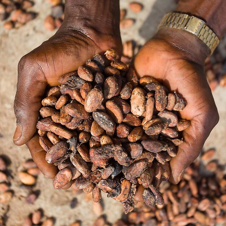 La hausse de l'indice des prix à la production par rapport à février dernier est principalement due à l'augmentation des prix des produits à base de cacao et de chocolat ainsi que du café et du thé transformés (archives).