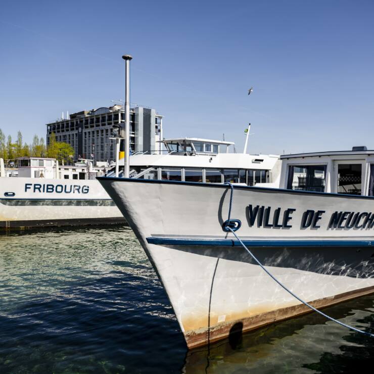 La flotte de la LNM comprend sept navires, dont le seul vapeur lacustre et fluvial de Suisse (photo d'illustration).