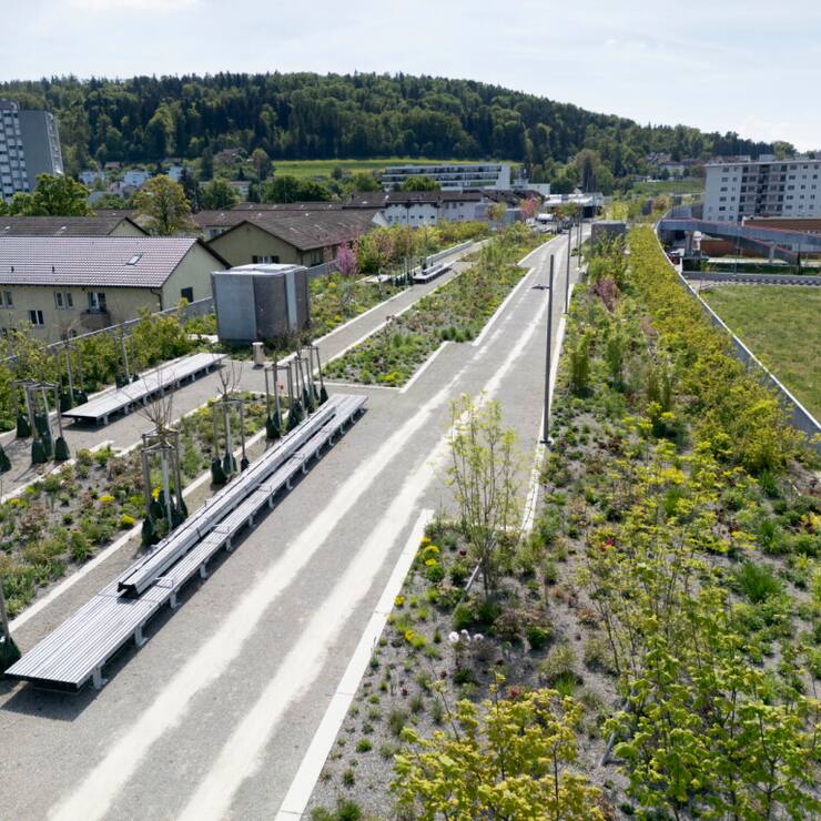 Là où le bruit et la pollution d'une autoroute péjorait la qualité de vie d'un quartier durant quatre décennies, un cadre presque bucolique a vu le jour (archives).