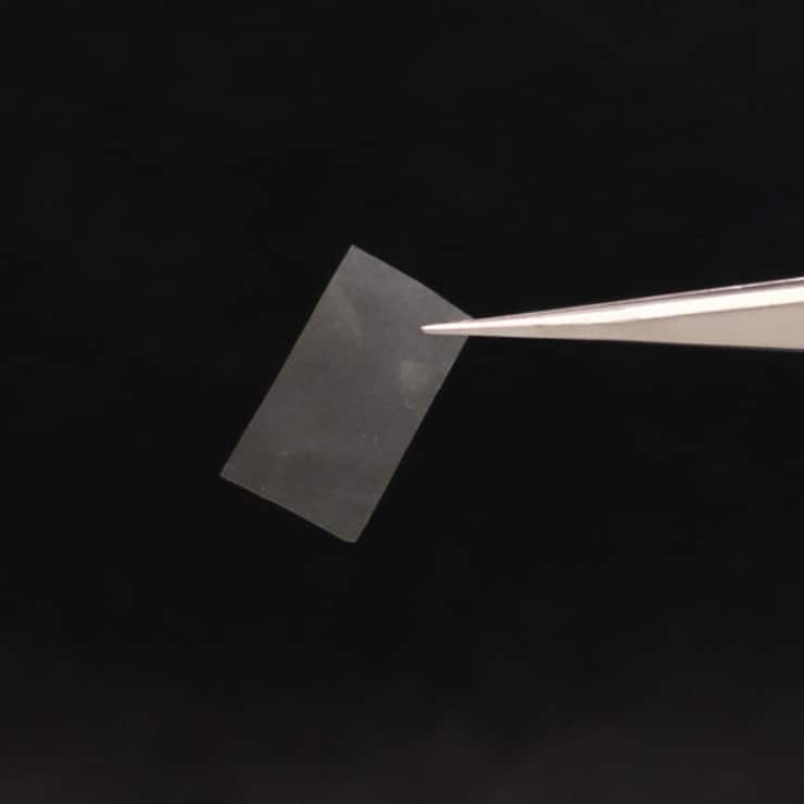 Selon l'Empa, le film vivant est presque transparent et résistant à la déchirure.