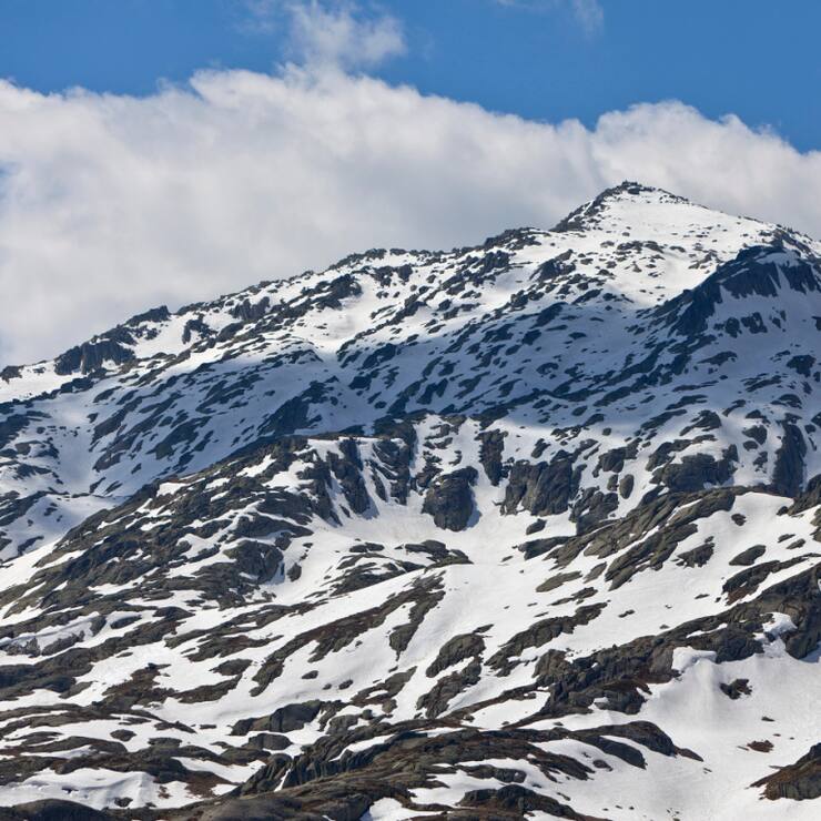 En montagne, les plantes commencent aujourd&#8217;hui à pousser en moyenne six jours plus tôt qu&#8217;il y a 25 ans, car les températures sont plus élevées après la fonte des neiges (archives).