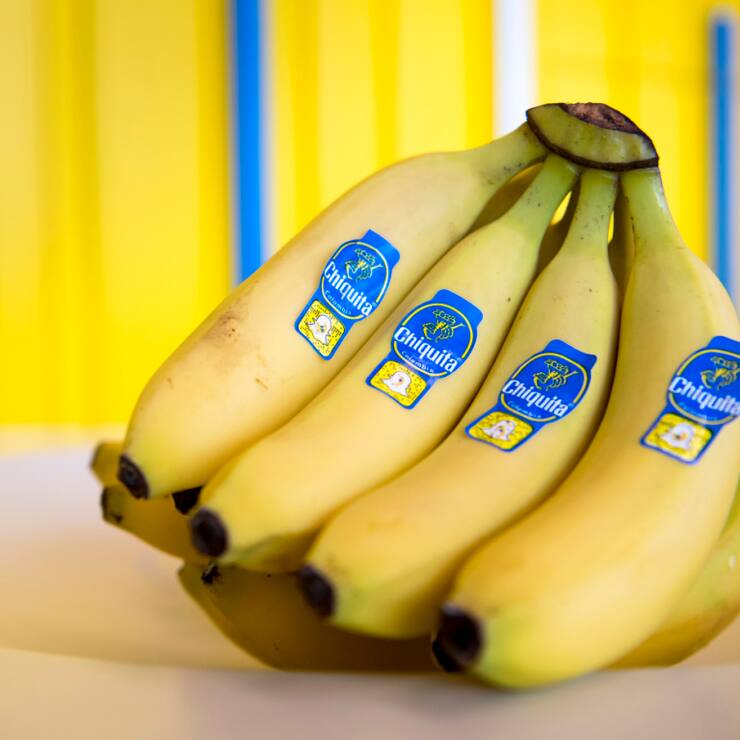 Selon Chiquita, le mouvement social au Panama, né de la contestation de la réforme des retraites adoptée par le Congrès, a conduit à "au moins 75 millions de dollars de pertes" et "des dommages irréversibles dus à ''abandon total'" des exploitations bananières. (archives)