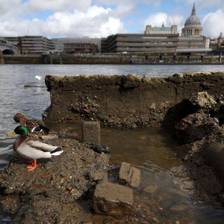 Thames Water est sous le feu des critiques en raison de déversement de quantités importantes d'eaux usées dans les cours d'eau britanniques. (archive)