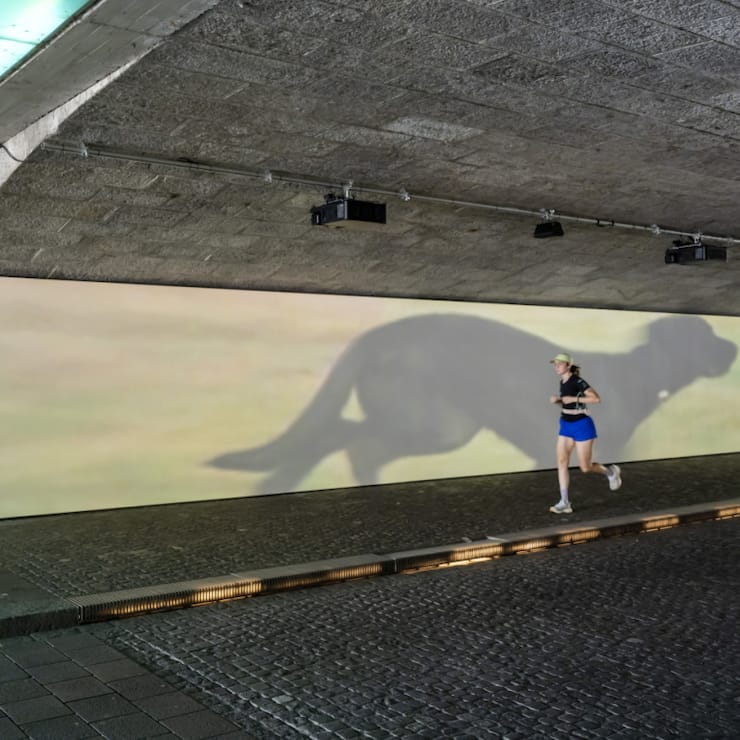 Une des installations visibles lors de cette édition 2025 d'Art Basel:  Finite/Infinite (2010) de l'artiste américain Sturtevant.