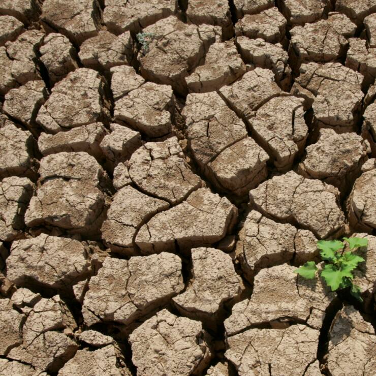 La Commission européenne a proposé début juillet de maintenir l'objectif de réduction de 90% des émissions de gaz à effet de serre en 2040 par rapport à 1990. Mais elle a introduit des "flexibilités" dans le mode de calcul, pour tenter de convaincre les pays les plus réticents.