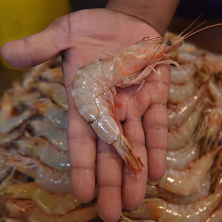 Du césium 137 a été détecté par les autorités douanières américaines dans une cargaison de crevettes congelées en provenance d'Indonésie (cliché symbolique/Keystone archives).