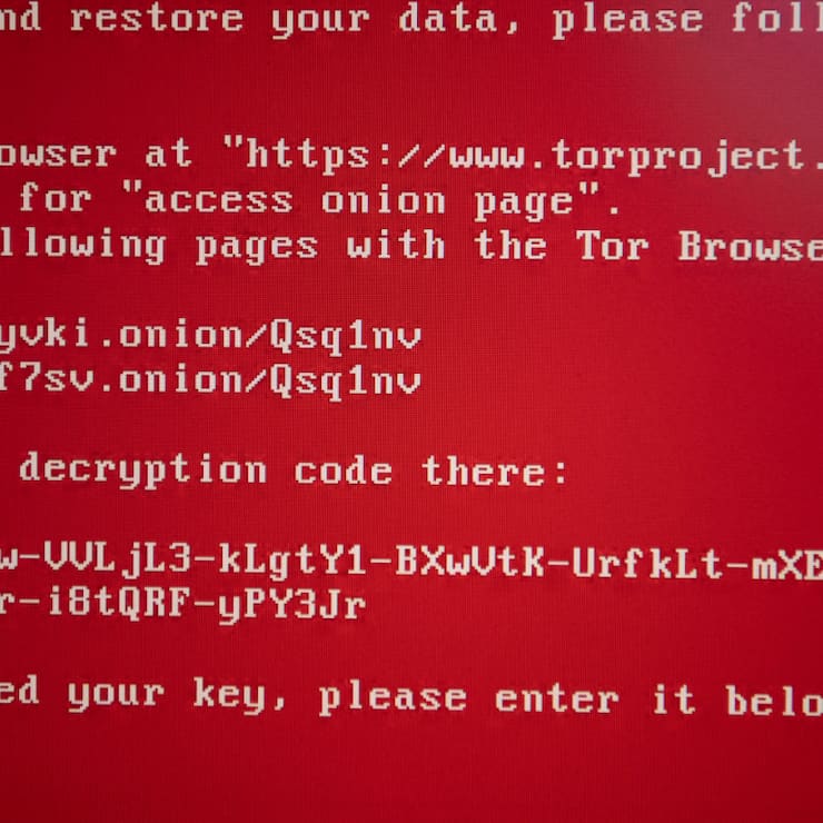 Auchan a invité ses clients à rester vigilants face aux risques de sécurité liés à l'hameçonnage, c'est-à-dire des SMS ou courriels frauduleux. (image symbolique)