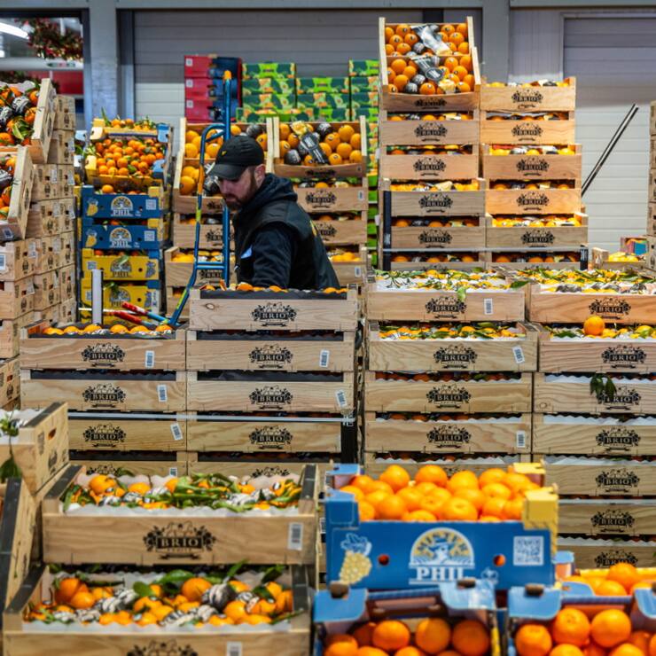 Les prix de l'limentation ont progressé un peu moins (3,2% contre 3,3% en juillet), tout comme ceux des services (-0,1 point à 3,1%). Les prix des biens industriels sont de leur côté stables à +0,8%.