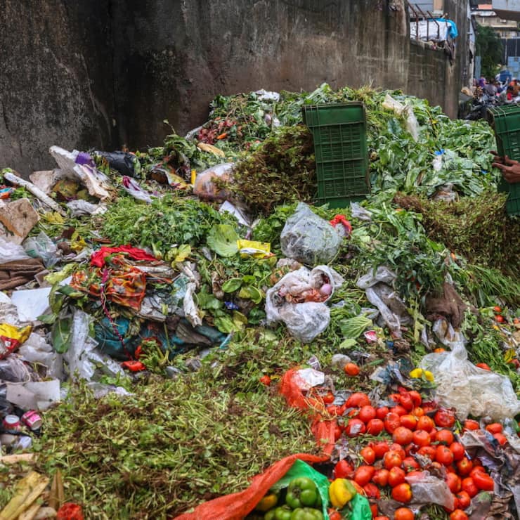 En 2030, chaque Etat membre devra réduire de 30% les déchets alimentaires de la distribution, de la restauration et des ménages, et de 10% ceux générés par la transformation et la fabrication des aliments, par rapport aux volumes annuels enregistrés entre 2021 et 2023 (image d'illustration).