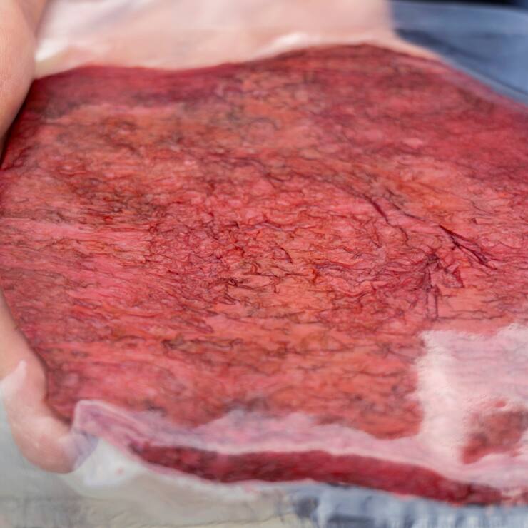 Aleph Farms produit de la viande cultivée en laboratoire. La firme israélienne a présenté en 2018 son premier steak, puis un ribeye en 2021 et du collagène en 2022. Elle veut désormais cultiver de la viande de haute qualité à Kempthal (ZH) et y établir sa base de production pour l'Europe.