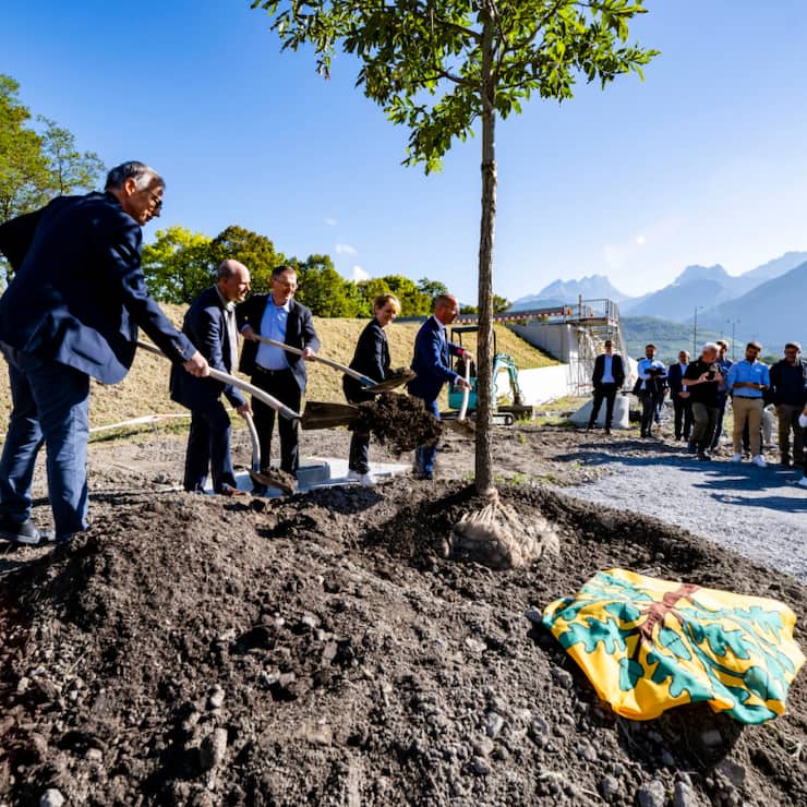 Gérard Seingre (directeur de TCM SA), Nicolas Herold (membre du Conseil d&#8217;administration de TCM SA), Franz Ruppen (conseiller d'Etat valaisan) Isabelle Moret (conseillère d'Etat vaudoise) et Fabrice Thétaz (président de la Ville de Monthey) ont symboliquement planté un chêne.