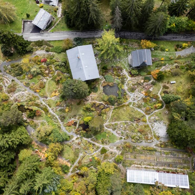Le jardin botanique Flore-Alpe à Champex-Lac (VS) fêtera son 100e anniversaire en 2027.