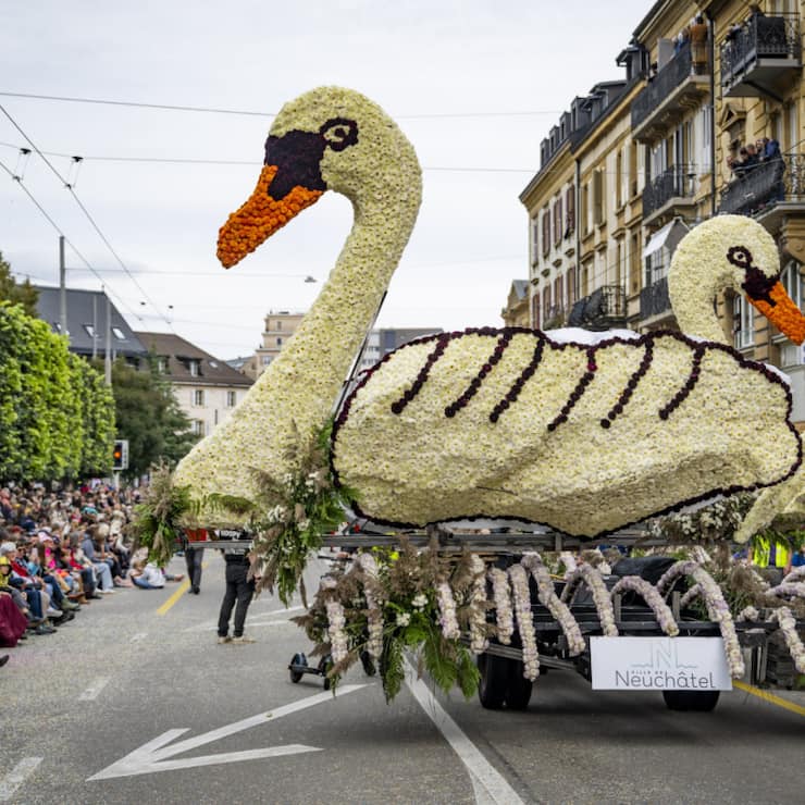 Les organisateurs de la Fête des vendanges ont vu grand cette année pour leur traditionnel corso fleuri.