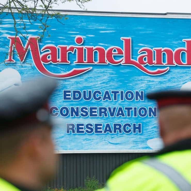 Le parc Marineland Canada se trouve près des chutes du Niagara (archives).