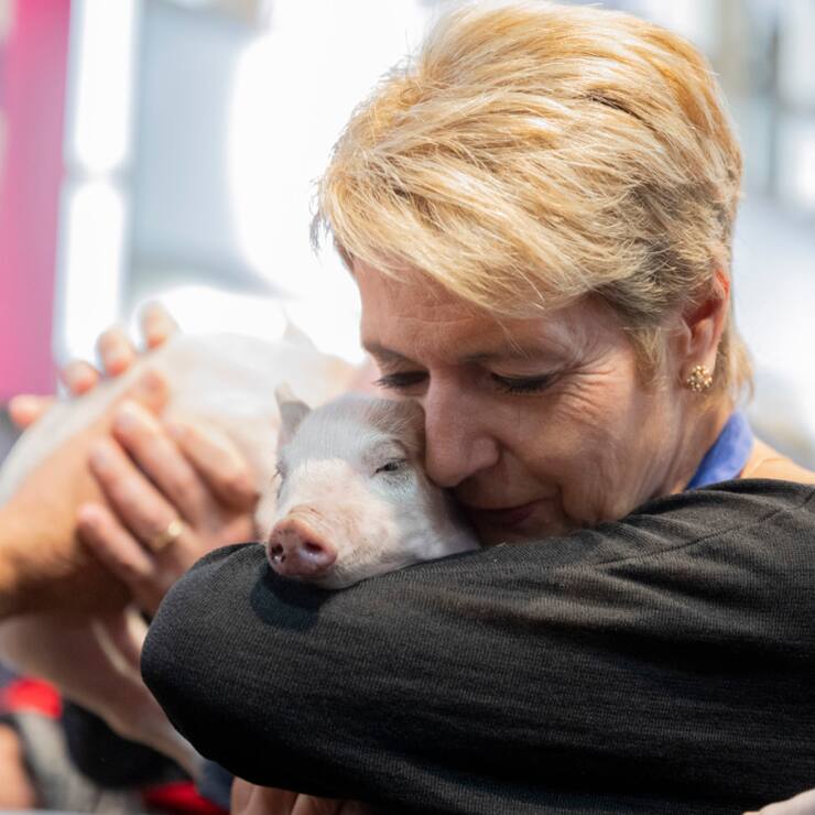 Comme le veut la tradition, la présidente de la Confédération a pris un porcelet dans ses bras.