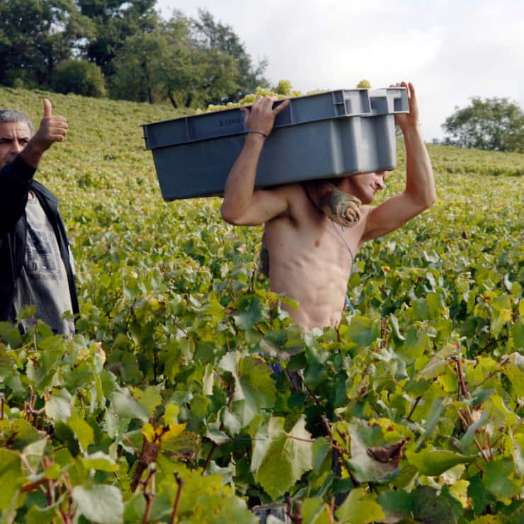 Le vin vendu à Beaune, des primeurs, ne sera pas livré avant juin 2027, après avoir été élevé sur place (archives).