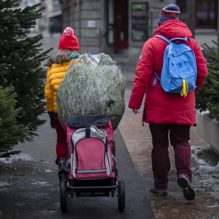Tous les ans : en Suisse, le sapin fait partie intégrante de la tradition de Noël. 1,7 million de sapins de Noël sont vendus chaque année. (photo d'archives)