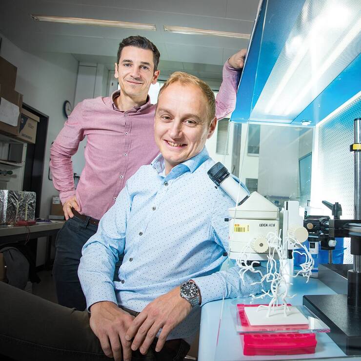 file782lyh7jfft1h2s12jed