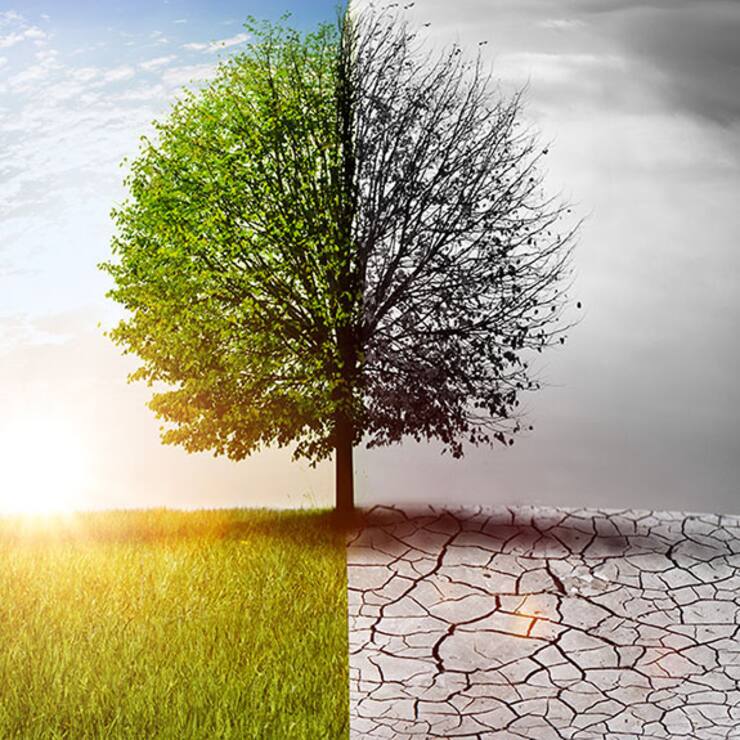 « It’s now or never »