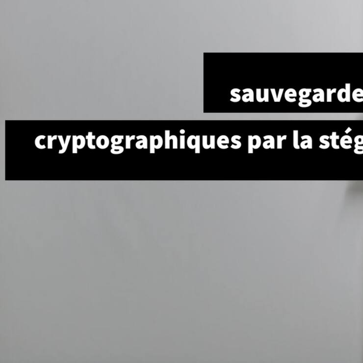 secrets_steganographie-2