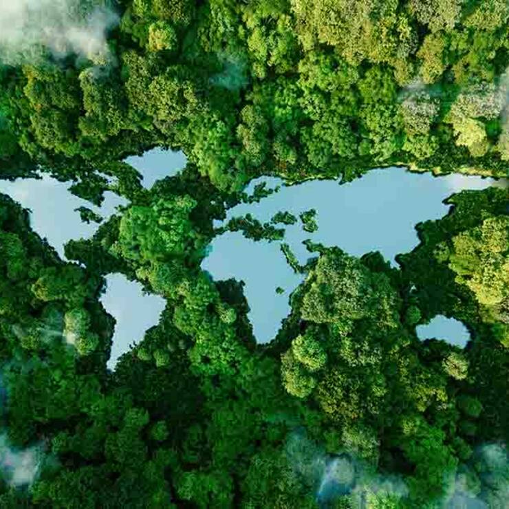 L’avenir est dans la transition énergétique