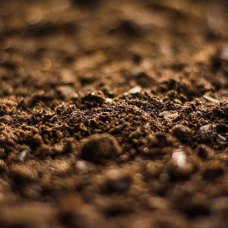 Béton, quelles alternatives durables ?