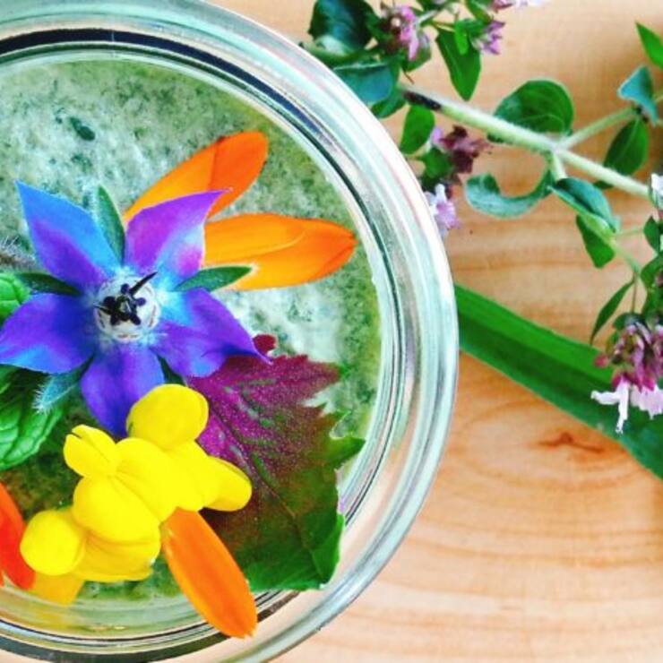 Innovation et Développement durable – MAINTENANT PLUS QUE JAMAIS