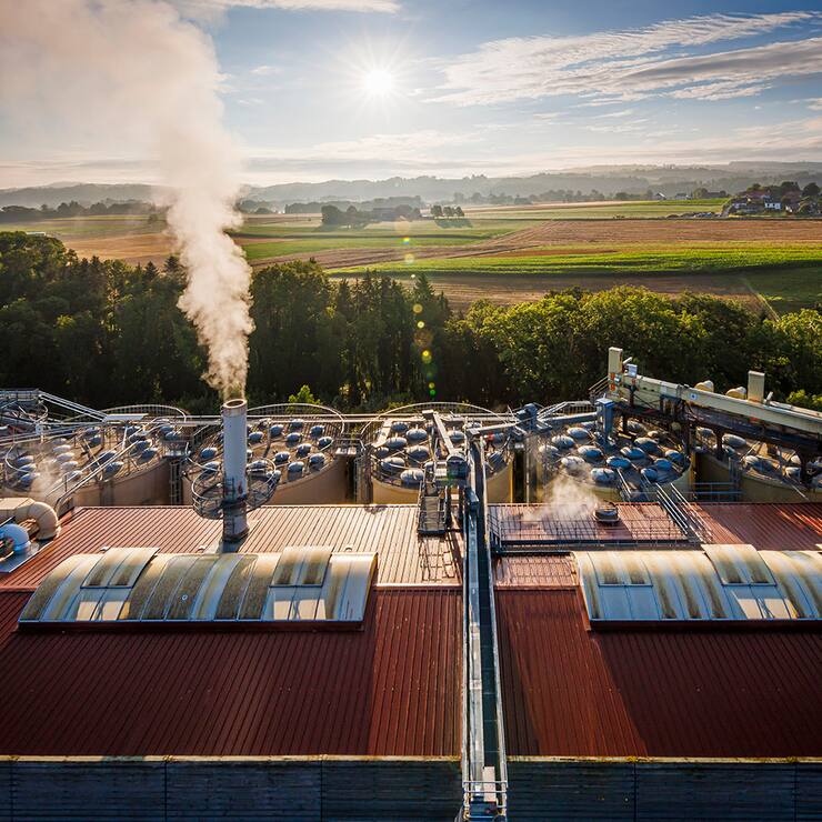 La Suisse et son potentiel biomasse