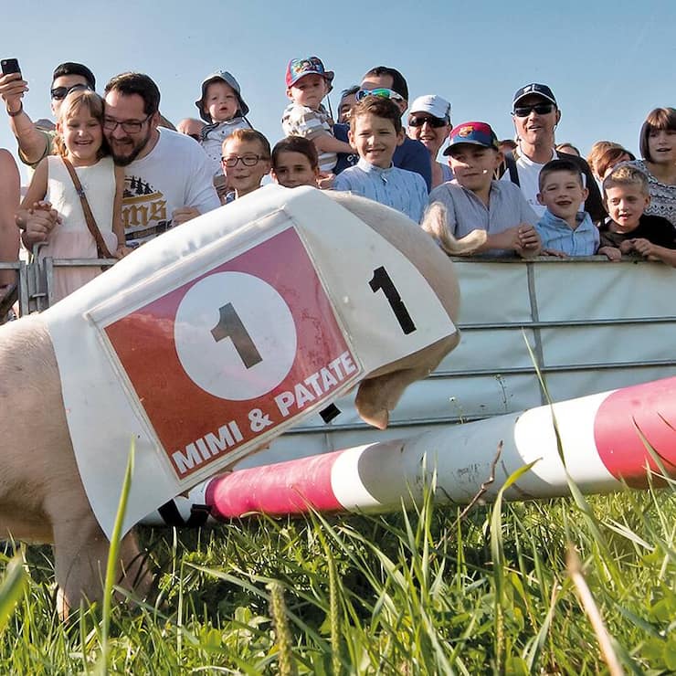 file782ldhoge1ypmopo8en