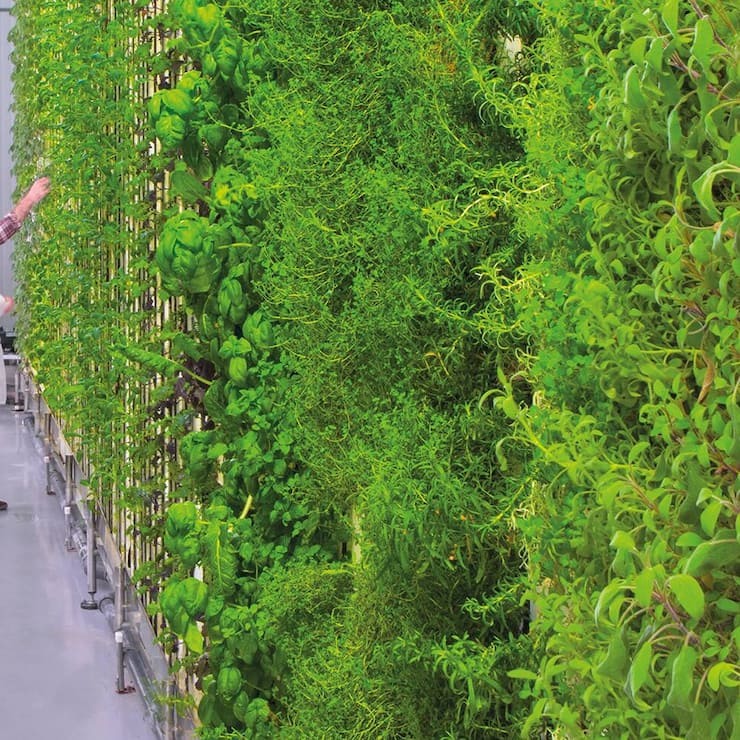 file78gj1v1y8j9w92o0n35