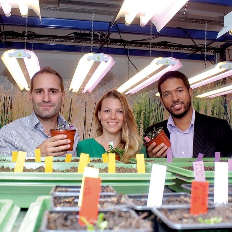 file739zu2wdhgg1aer4na62