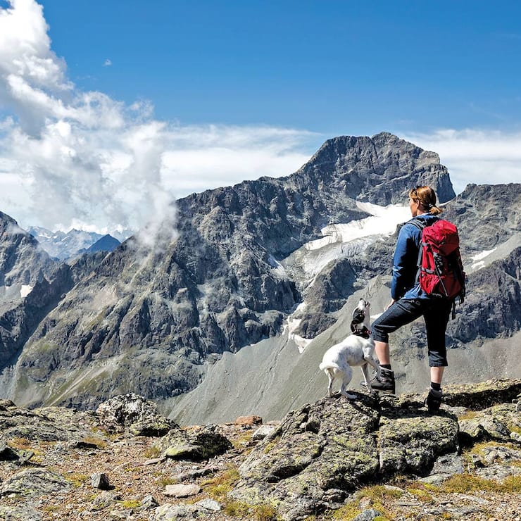 file76rw44nb3li1ewlzj9jh