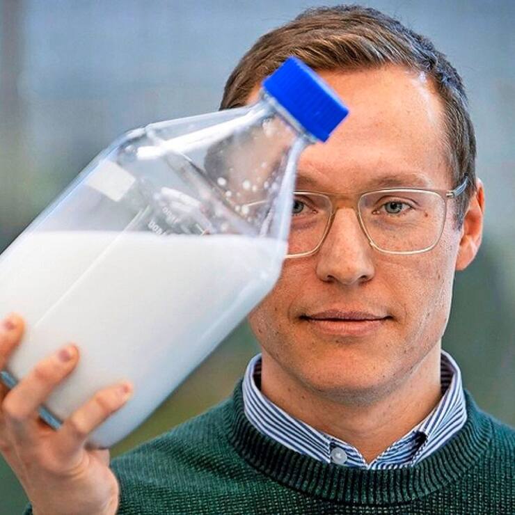 Les écailles exosquelettiques blanches du scarabée Cyphochilus ont inspiré les recherches des chercheurs d’Impossible Materials,  explique Lukas Schertel. 