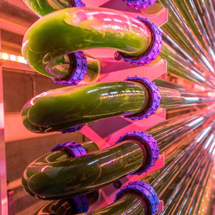 Agroscope de Posieux