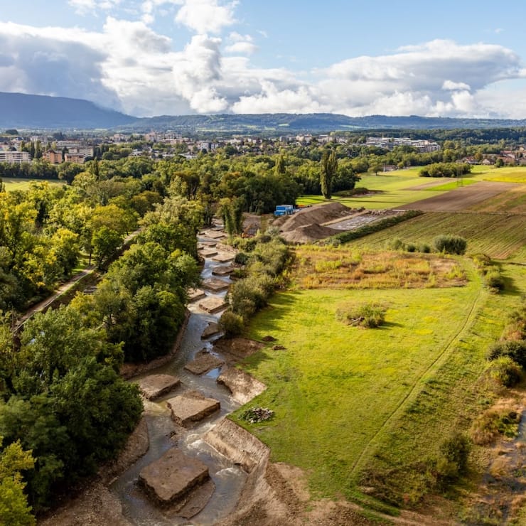 champignons décontamination