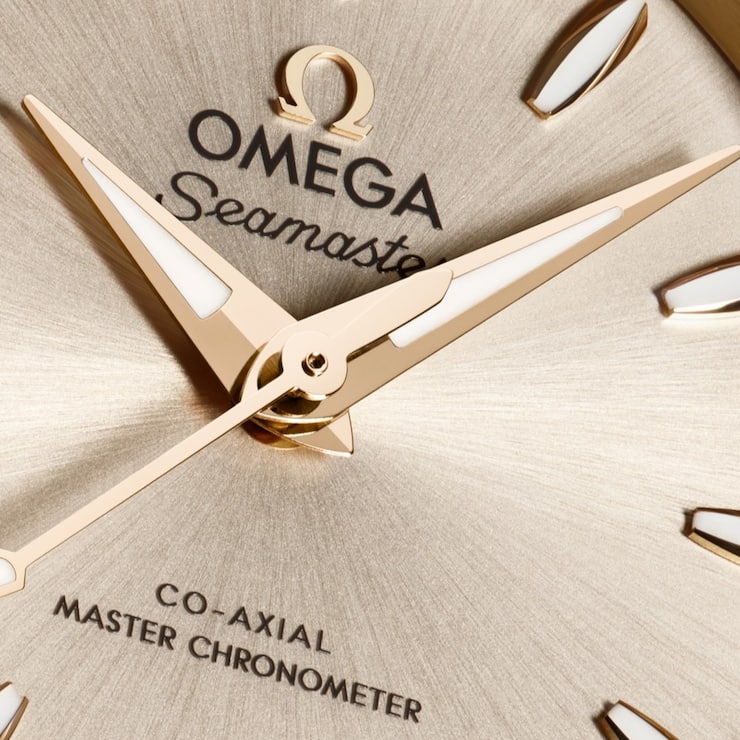 Omega Aqua Terra