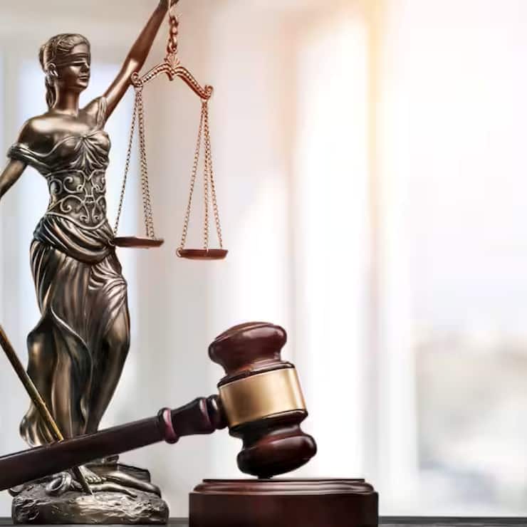 avocats 2026