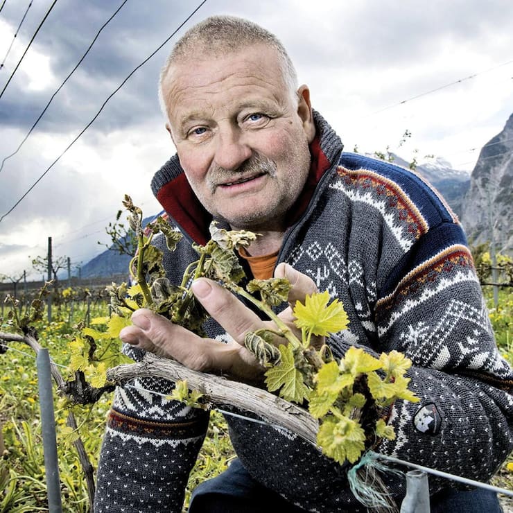 file7cgwop8ok7m1ie6ij1l9