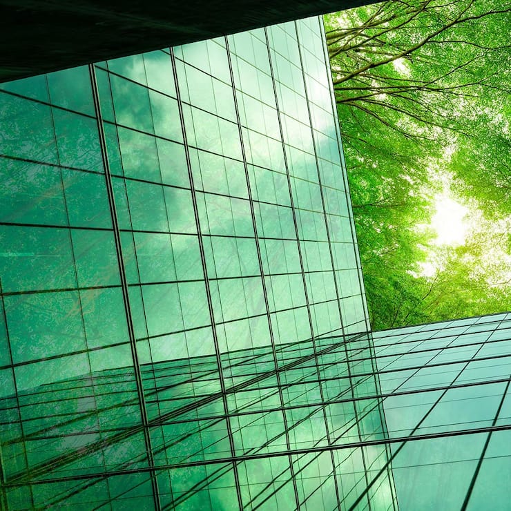 Biocity : la ville comme une forêt ?