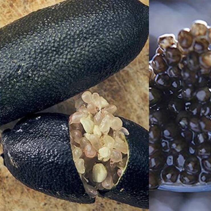 file7domhnvrx4k5hzmqbi7