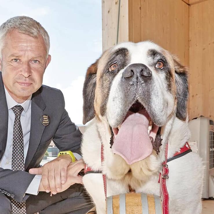 file7ap3gnll7nsmd7tkkmz