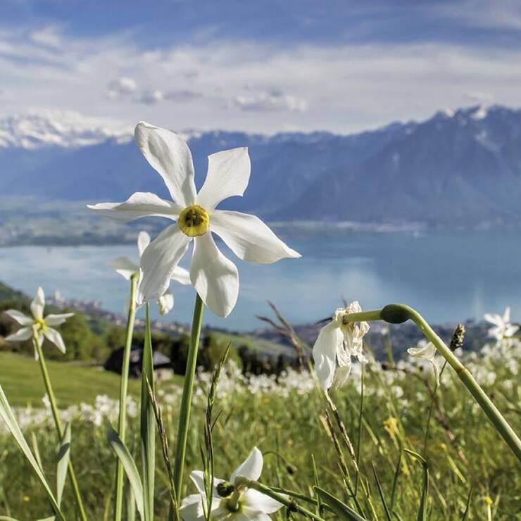 file7ammb9bylsn17lgxr9wi