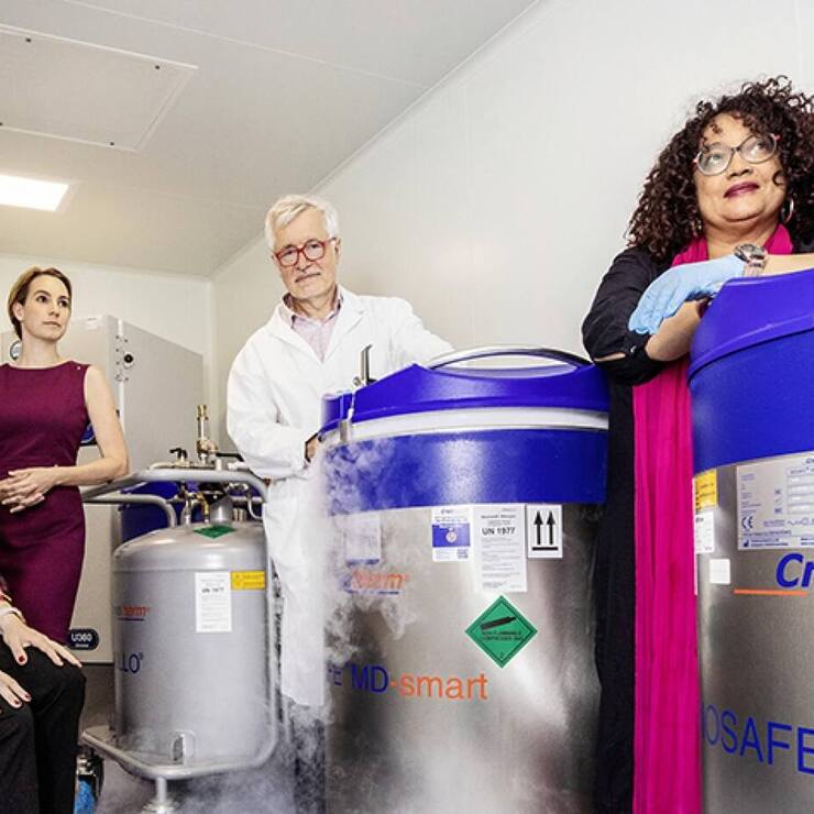 file7hnytj4rqrqmt6kxb86