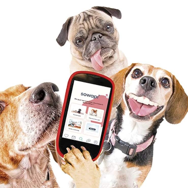 file7b2k88tpf28114hvjapy