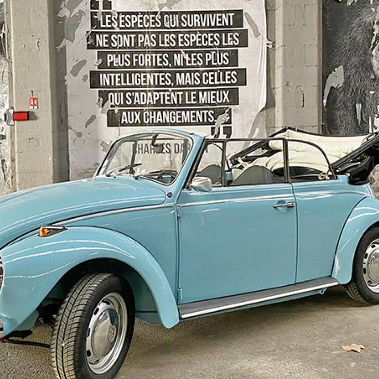 file7emf3lzv1lti2zcto5e