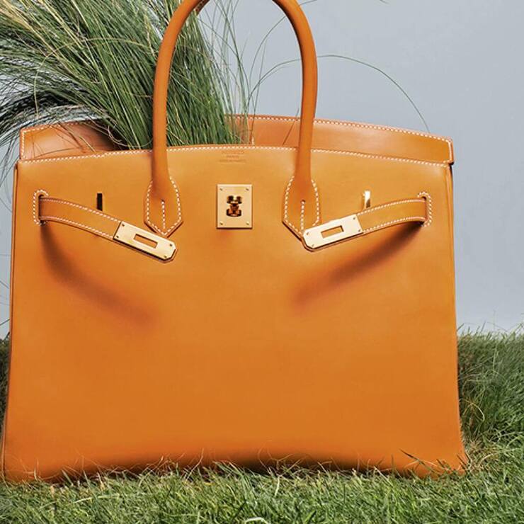 file7h8kp3hufxc8vfpwd5y