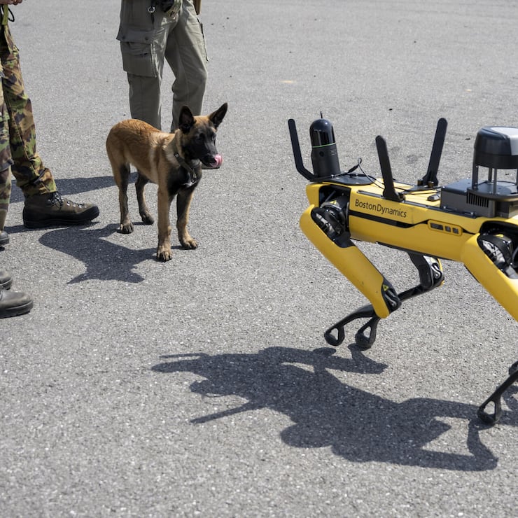 Un chien observe un robot de garde non armé, fabriqué par Boston Dynamics. En Suisse aussi, la robotique figure parmi les domaines de recherche prioritaires pour faire face aux menaces actuelles.