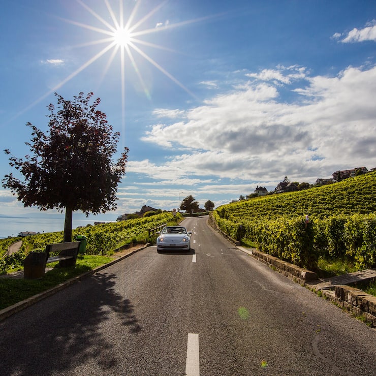L’an dernier, les surfaces viticoles ont diminué de 52 hectares à l’échelle nationale